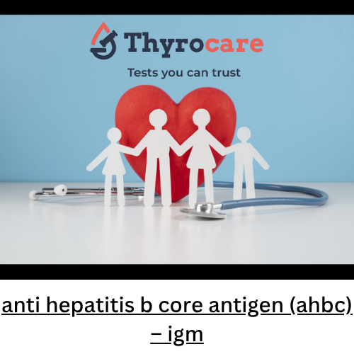 anti hepatitis b core antigen (ahbc) - igm