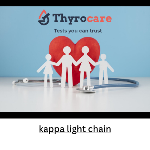 kappa light chain