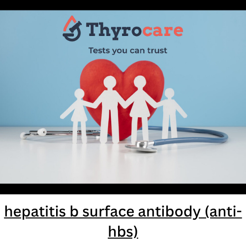 hepatitis b surface antibody (anti-hbs)